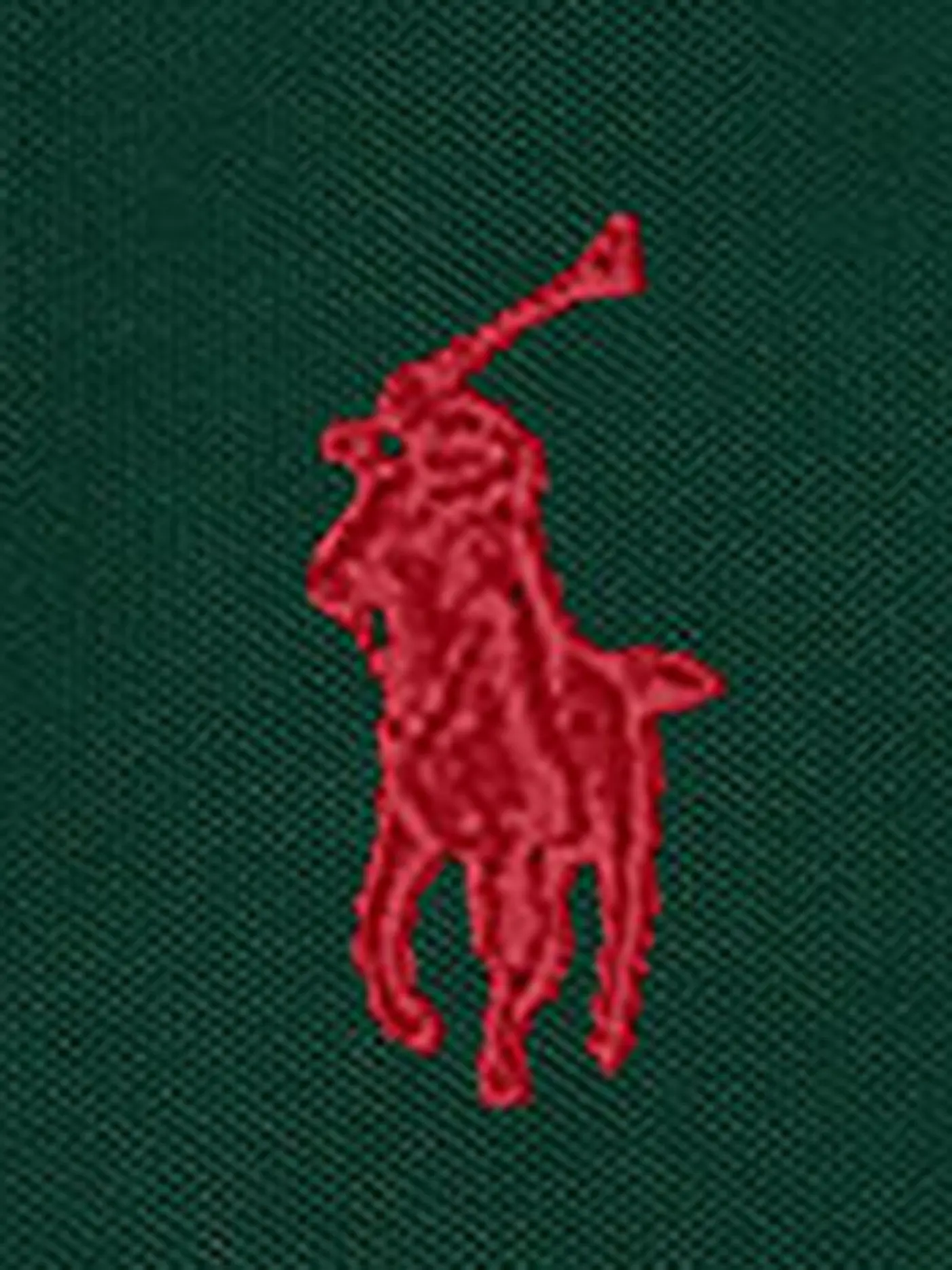 POLO RALPH LAUREN | Poloshirt Slim Fit | grün
